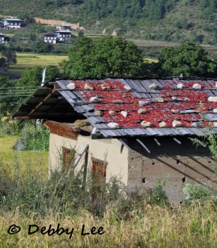 Bhutanese Red Chilies Rooftop 1