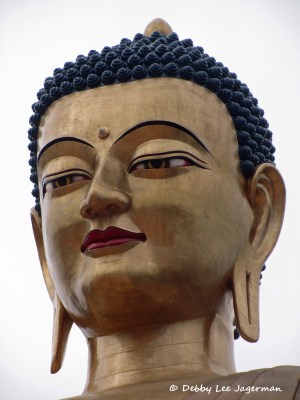 Buddha Dordenma Bhutan Face