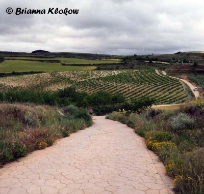 El Camino de Santiago