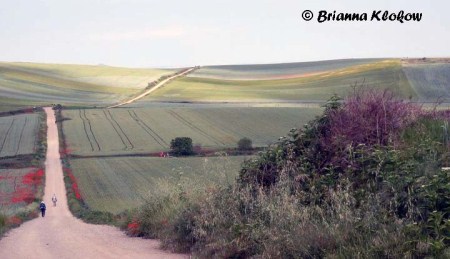 El Camino de Santiago