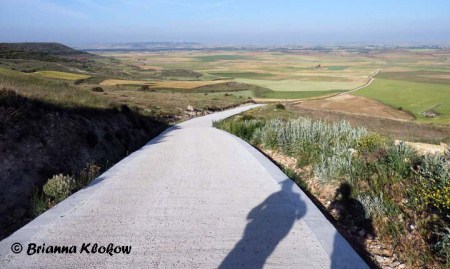 El Camino de Santiago