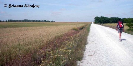 El Camino de Santiago