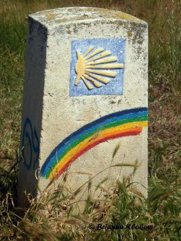 El Camino de Santaigo Shell and Rainbow