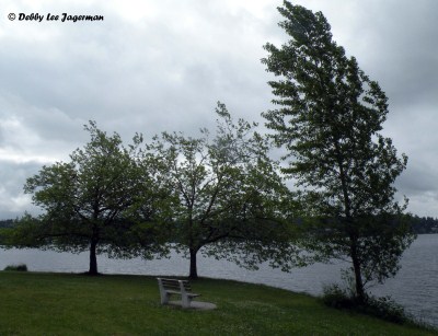 Seward Park, Seattle