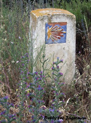 Camino de Santiago Scallop Shells Cement Marker