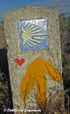 Camino de Santiago Scallop Shells Cement Marker