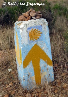 Camino de Santiago Scallop Shells Cement Marker