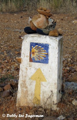 Camino de Santiago Scallop Shells Cement Marker