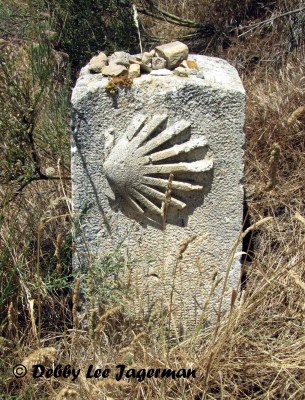 Camino de Santiago Scallop Shells Cement Marker