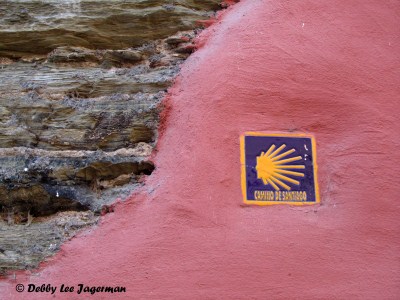 Camino de Santiago Scallop Shells Tiles