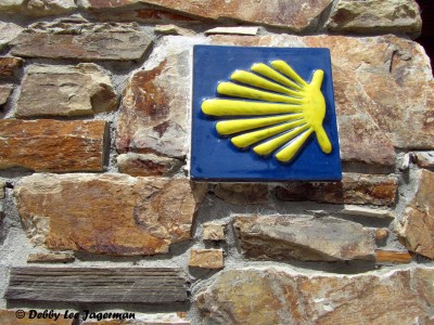 Camino de Santiago Scallop Shells Tiles