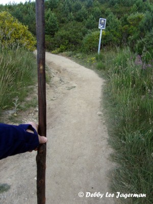 Camino-de-Santiago-Walking-Sticks-Bastones