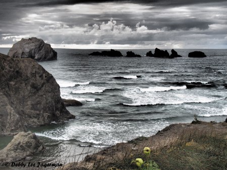Fall Rock State Scenic Lookout - Oregon Coast