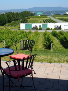 Vignoble Sainte Petronille Vineyards Ile d'Orleans