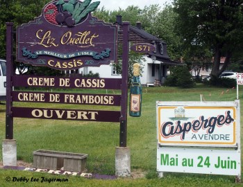 Le Ferme de Liz Ouellet Ile d'Orleans Farm