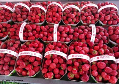 Strawberries Baskets Ile d'Orleans