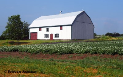 Ile d'Orleans Farm House