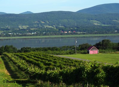 Ile d'Orleans Farmland Quebec City Scenery