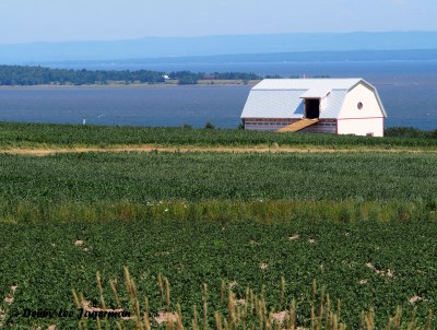 Ile d'Orleans Water and Farmland Scenery