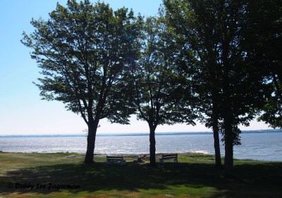 Ile d'Orleans Water Scenery