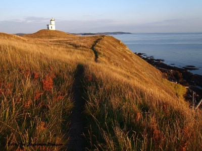 Cattle Point Lighthouse San Juan Island