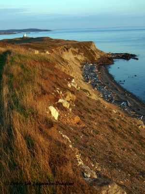 Cattle Point Lighthouse San Juan Islands