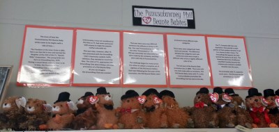 Punxsutawney Phil Beanie Babies