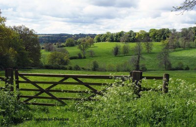 Cotswolds England Scenery