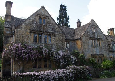 Wisteria on a Stone House