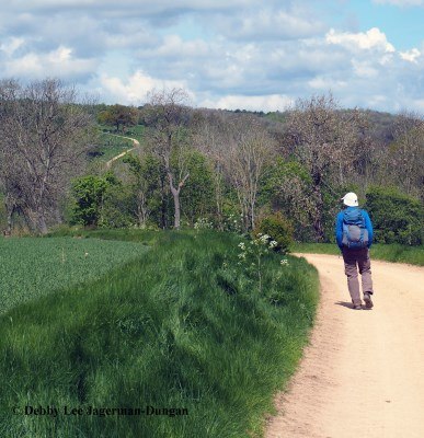 Cotswolds Dirt Path