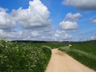 Cotswolds Dirt Road Through Fields