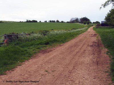 Cotswolds Dirt Road