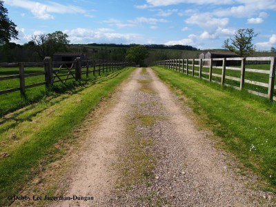 Cotswolds Gravel Road Near Farm
