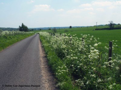 Cotswolds Road