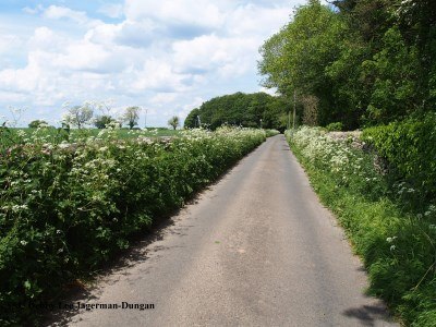 Cotswolds Side Road