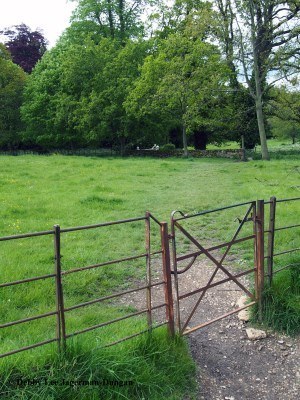 Cotswolds Gate Grass Big Trees