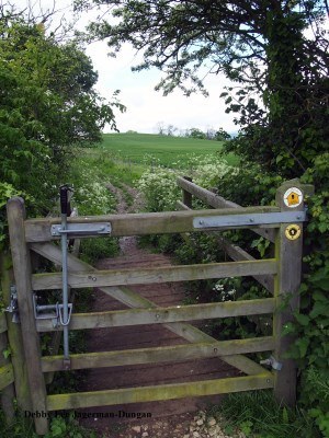 Cotswolds Gate Metal Handle