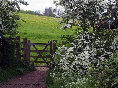 Cotswolds Gate Wildflower Fields