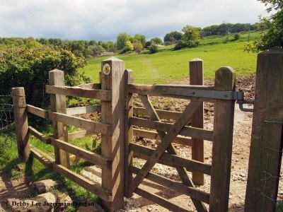 Cotswolds Kissing Gate Field