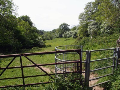 Cotswolds Kissing Gate Horses