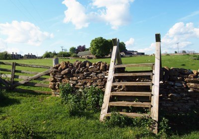 Cotswolds Steps