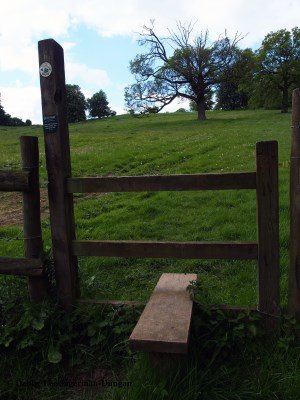 Cotswolds Stile Trees Grass