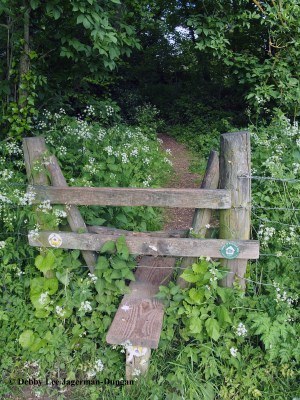 Cotswolds Stile