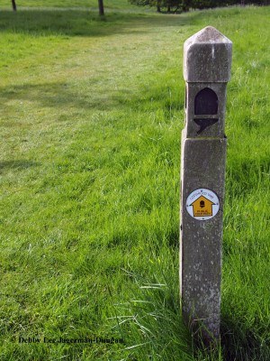 Cotswolds Way Acorn