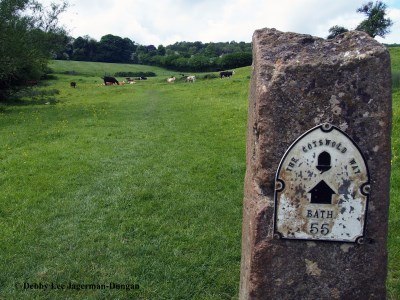 Cotswolds Way Bath 55