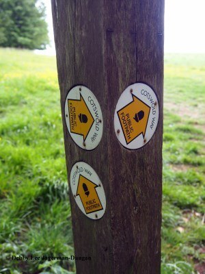 Cotswolds Way Three Yellow Arrows