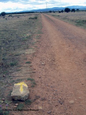 Camino de Santiago Yellow Arrow