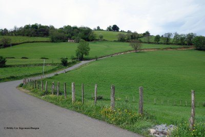 Camino de Santiago Landscape