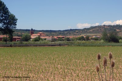 Camino de Santiago Landscape