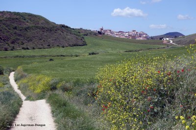 Camino de Santiago Landscape
